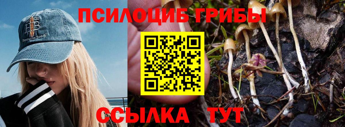 Балашиха  Галлюциногенные грибы мицелий  Галлюциногенные грибы Cubensis  Вход с VPN 