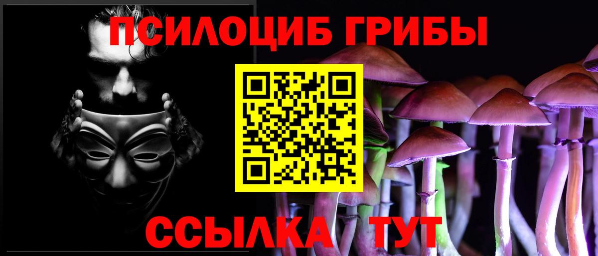 Галлюциногенные грибы прущие грибы Балашиха